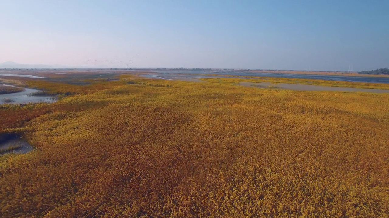 始华草地和大松湖/檀园区，安山市，京畿道，韩国视频素材