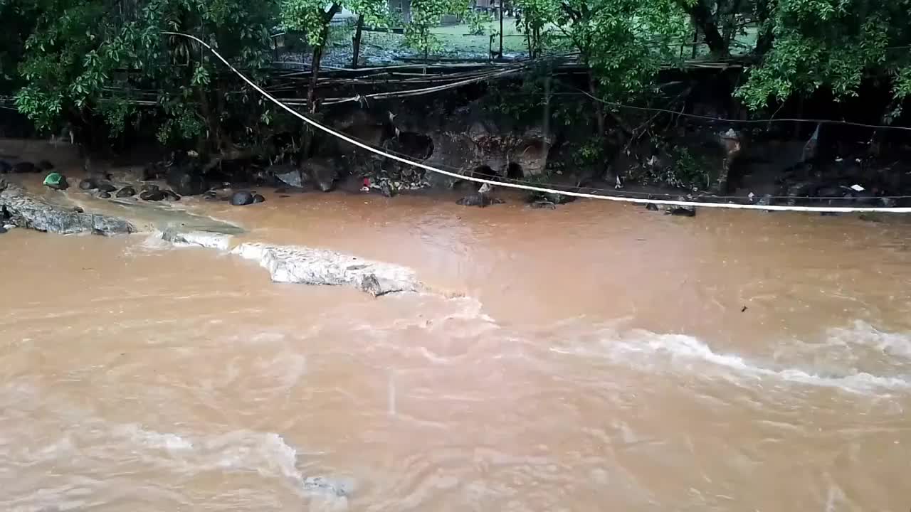 浑水在被许多植物包围的农村地区的河里流动。视频下载