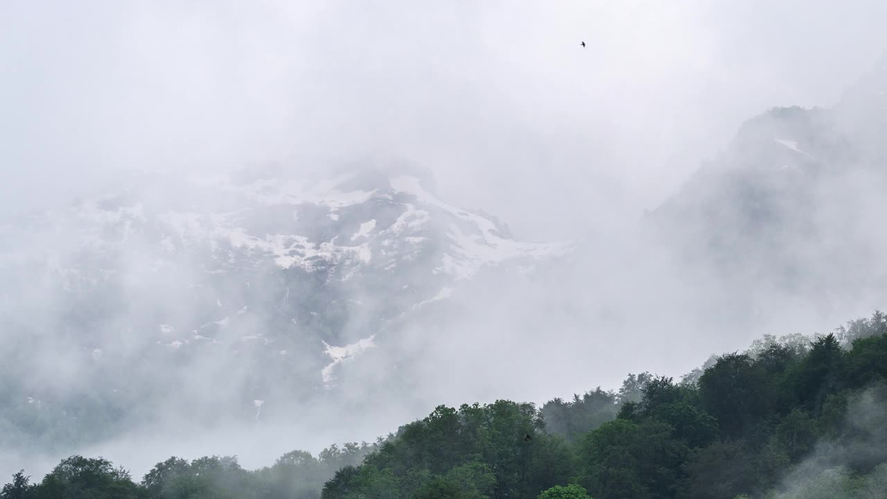 群山和雾中的树林。4k延时视频视频素材