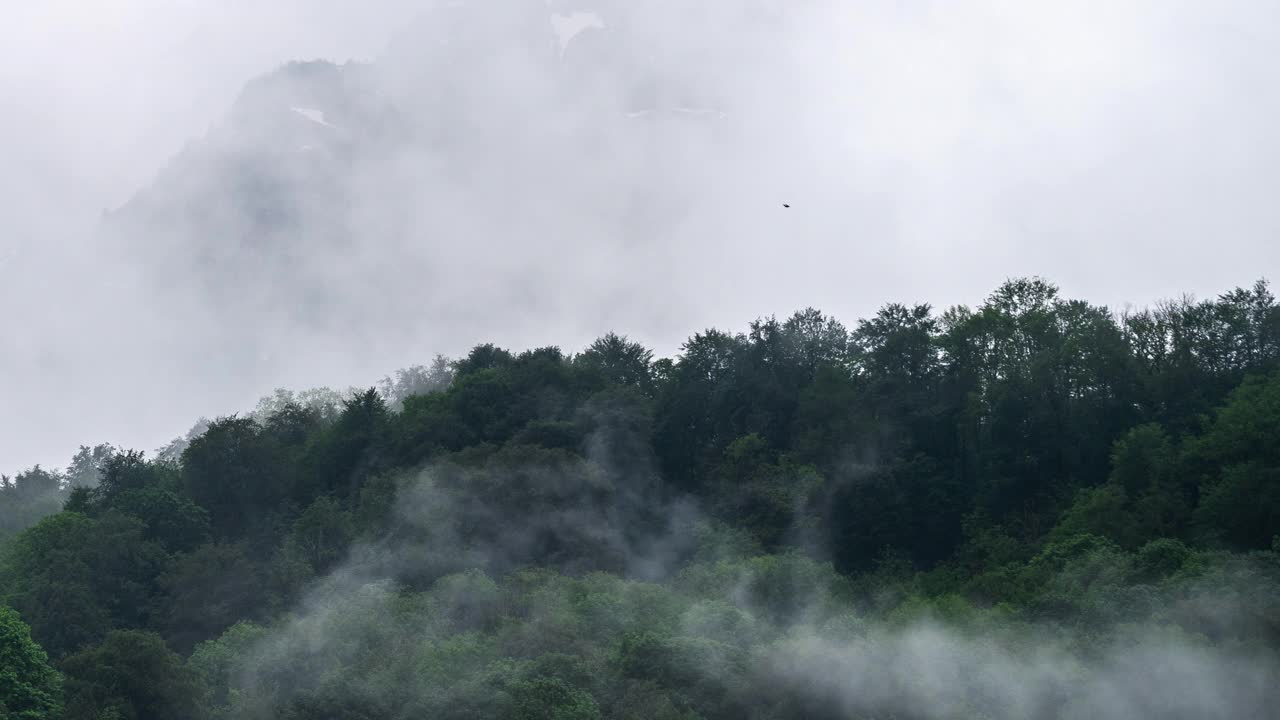 群山和雾中的树林。4k延时视频视频素材