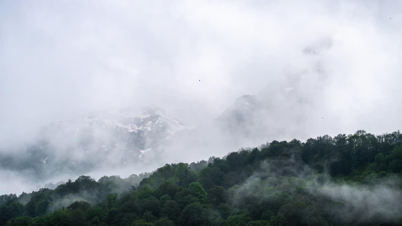 群山和雾中的树林。4k延时视频视频素材