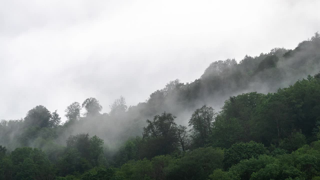 群山和雾中的树林。4k延时视频视频素材