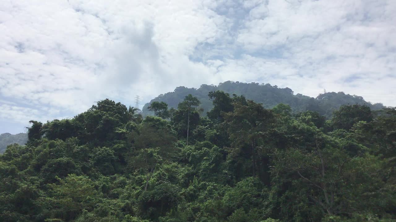 山上有茂密的绿色森林和蔚蓝的天空视频下载