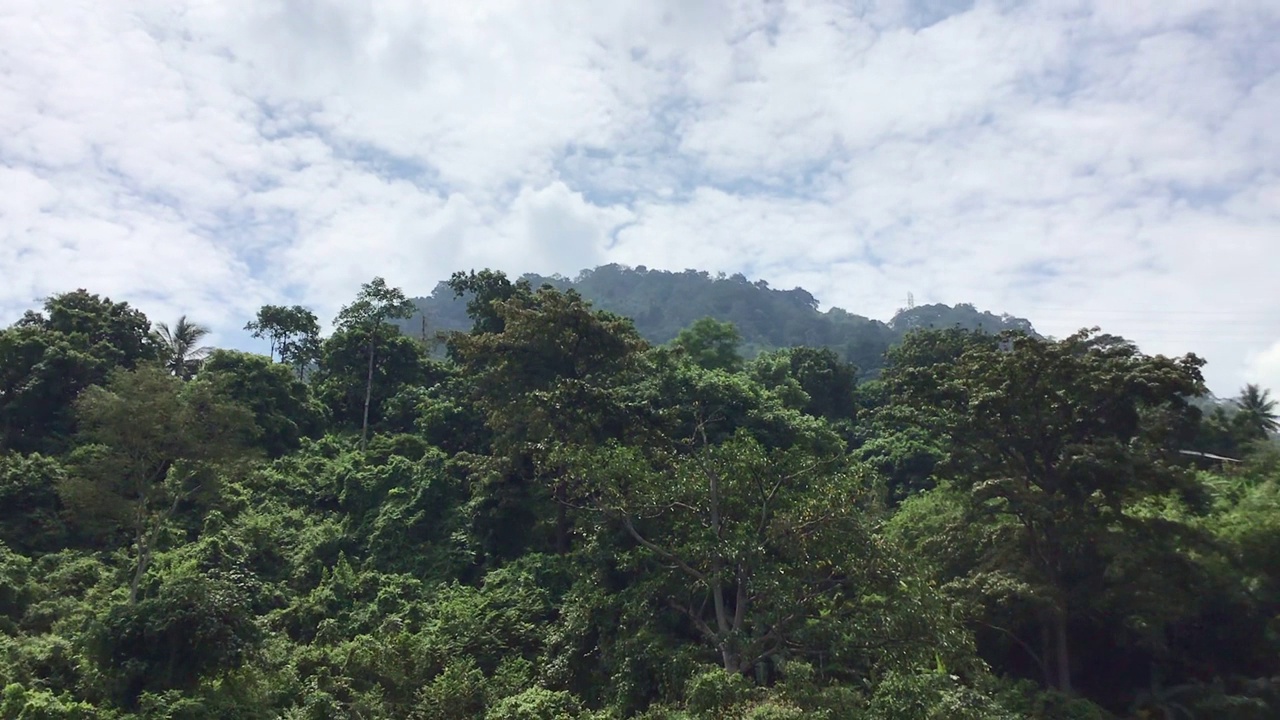 山上有茂密的绿色森林和蔚蓝的天空视频下载