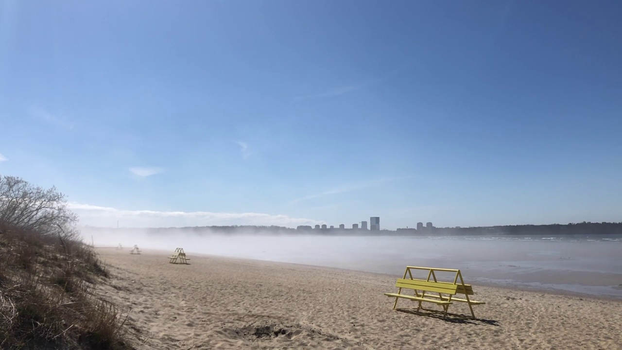 春天波罗的海海岸线上的移动雾视频素材