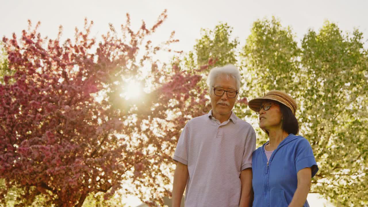 一对老年夫妇在公园里共度时光视频素材