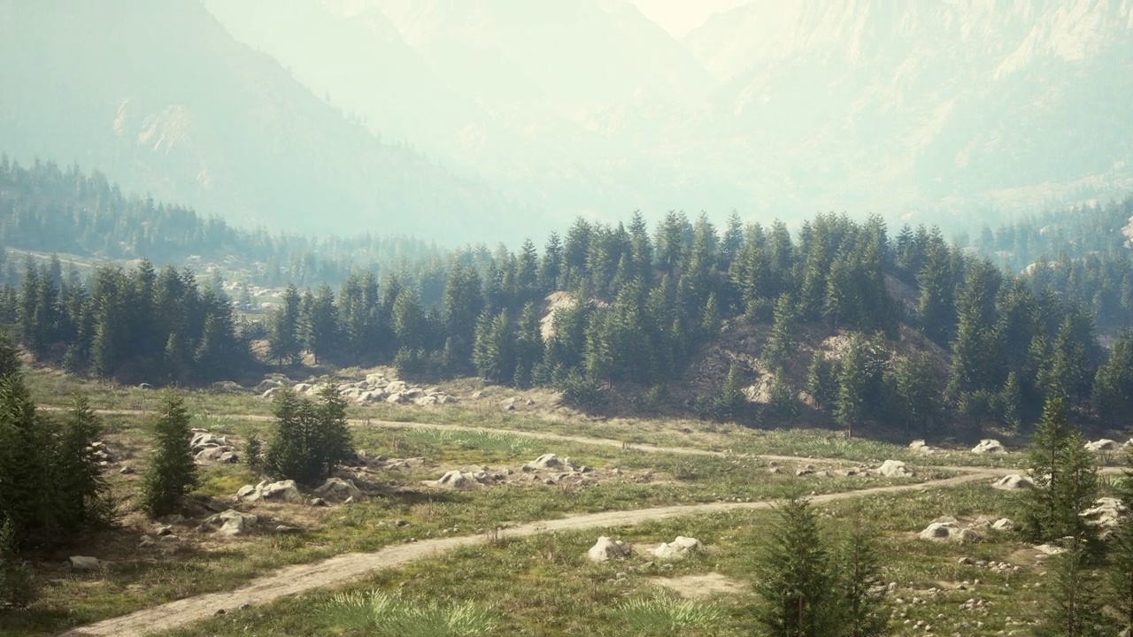 森林边缘的高山草地上蜿蜒的山路视频素材