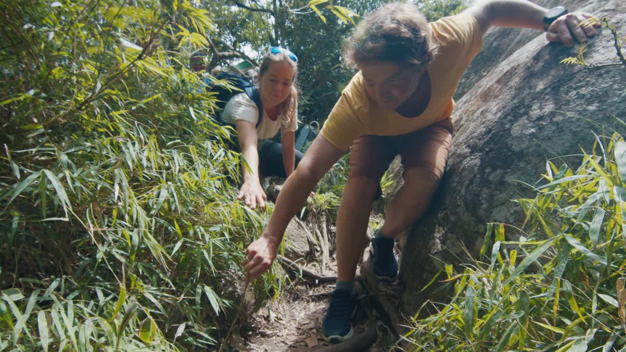 徒步旅行者和狼蛛蜘蛛。一对情侣在热带森林里徒步旅行，在小路上遇见了毛茸茸的蜘蛛。徒步旅行者在森林里发现了致命的生物视频素材