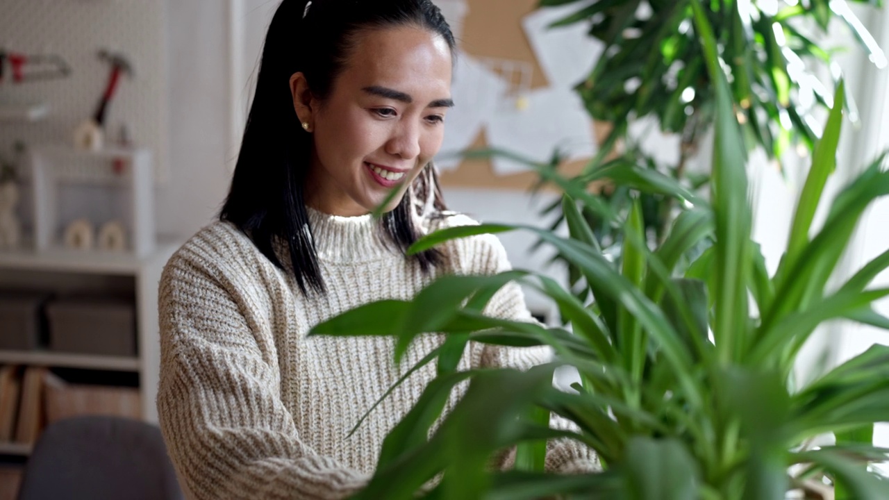 妇女给室内植物浇水视频素材