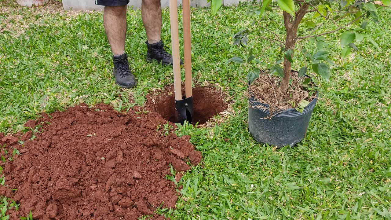 园丁在花园里挖洞种树视频下载