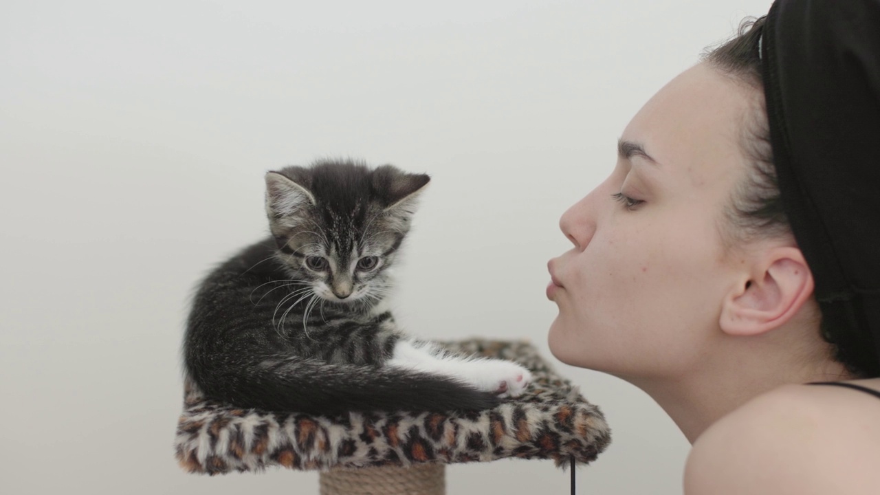 肖像女脸亲吻小猫咪灰色条纹猫宠物主人的嘴唇鼻子视频素材