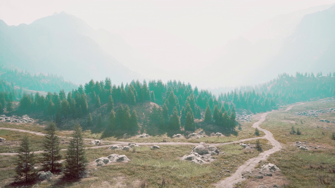 森林边缘的高山草地上蜿蜒的山路视频素材