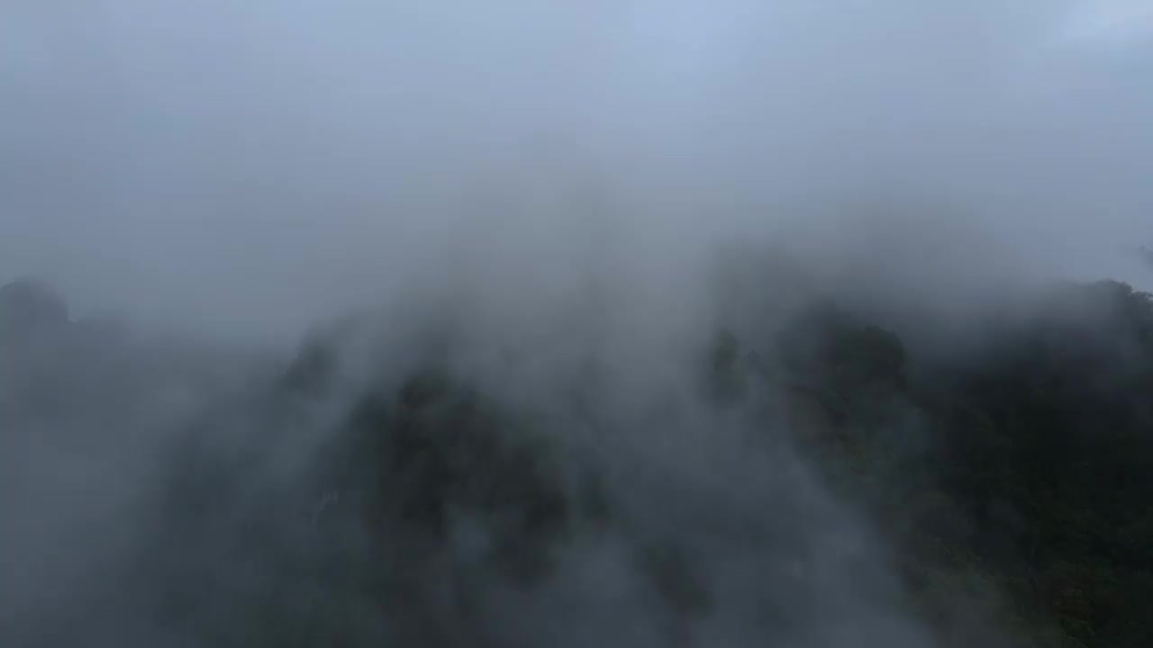 雨水充沛地落在山区丛林的植被上视频素材