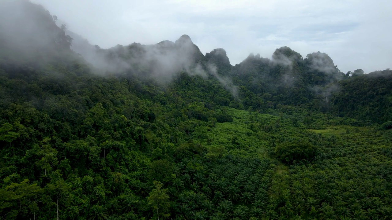 热带气候中的山峰。山脉被雨林覆盖，鸟瞰图。高地视频素材