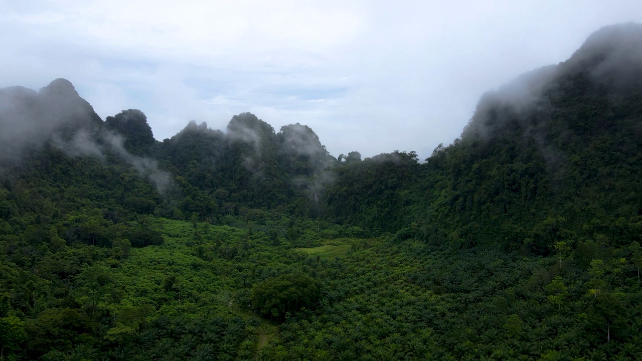 热带气候中的山峰。山脉被雨林覆盖，鸟瞰图。高地视频素材