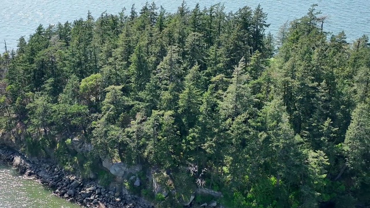 太平洋西北小岛上的近距离空中旋转岛屿景观，覆盖着树木和岩石，美丽的孤立建立镜头视频素材