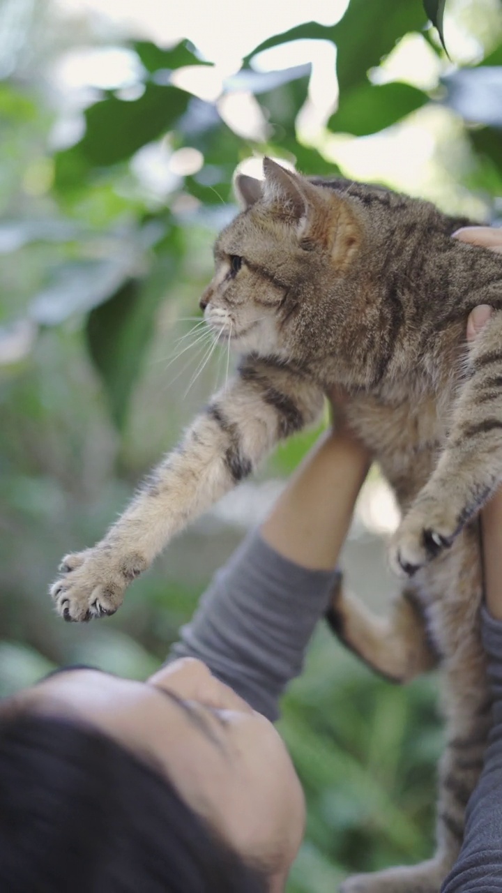 抱着猫的女人视频素材