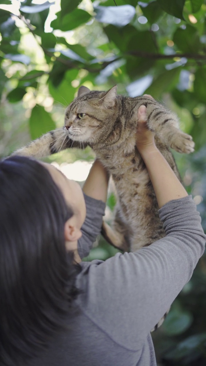 抱着猫的女人视频素材