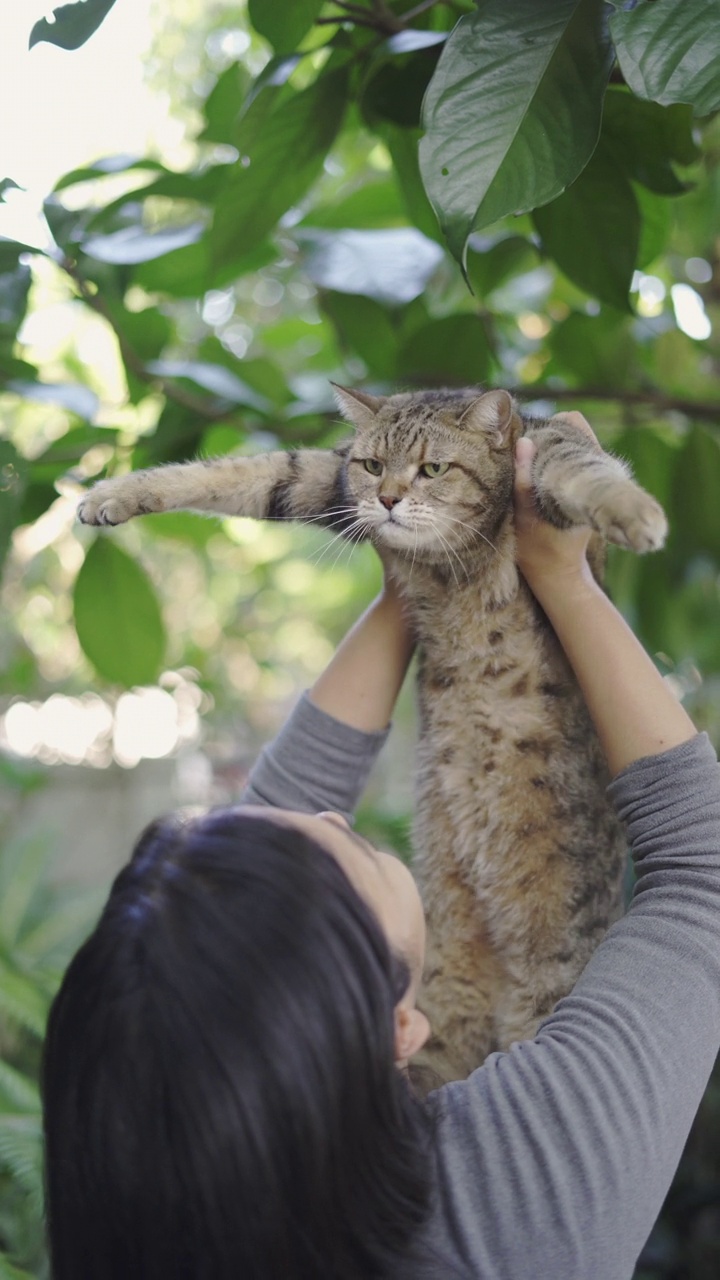 抱着猫的女人视频素材