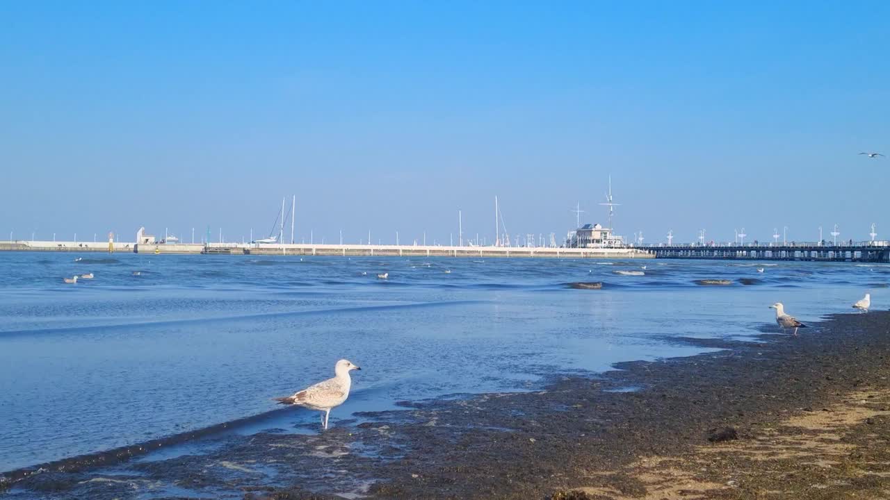 波罗的海沿岸的河堤视频素材