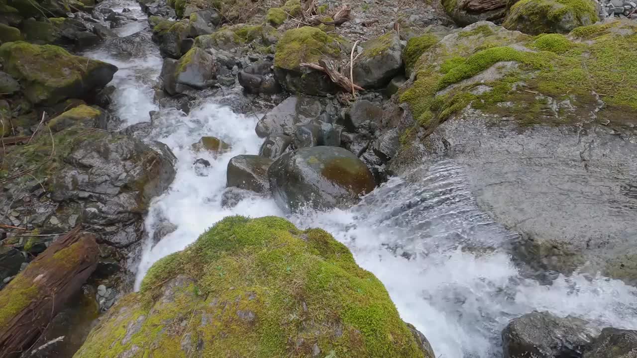 神奇的森林山涧，石头上长满了青苔视频素材