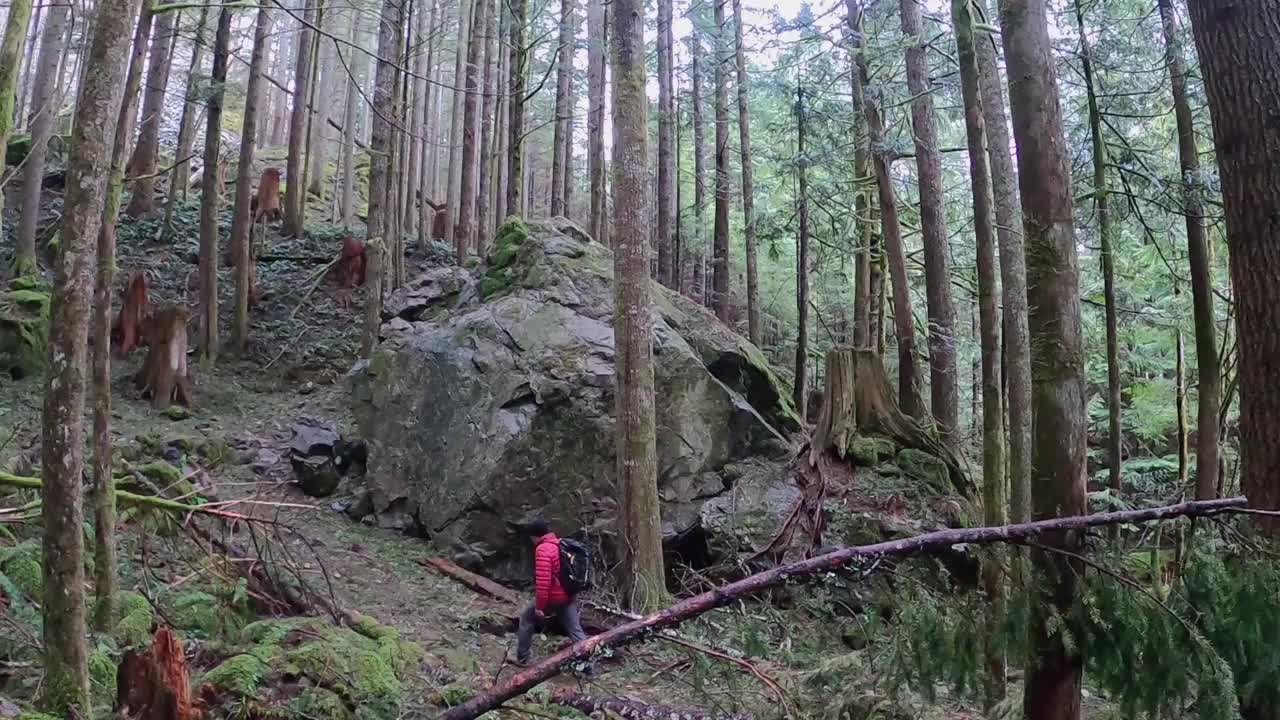 一个徒步旅行者沿着一块大石头走在森林里视频素材