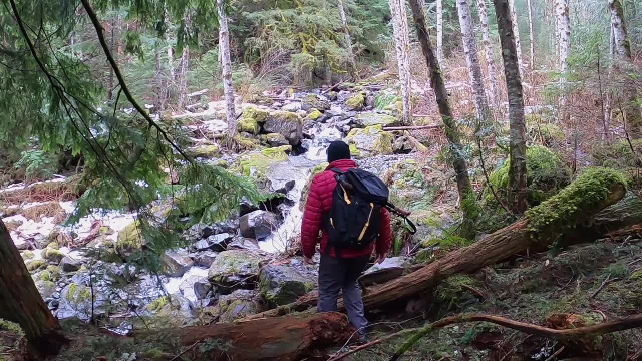 一个徒步旅行者穿过森林来到山间小溪视频素材