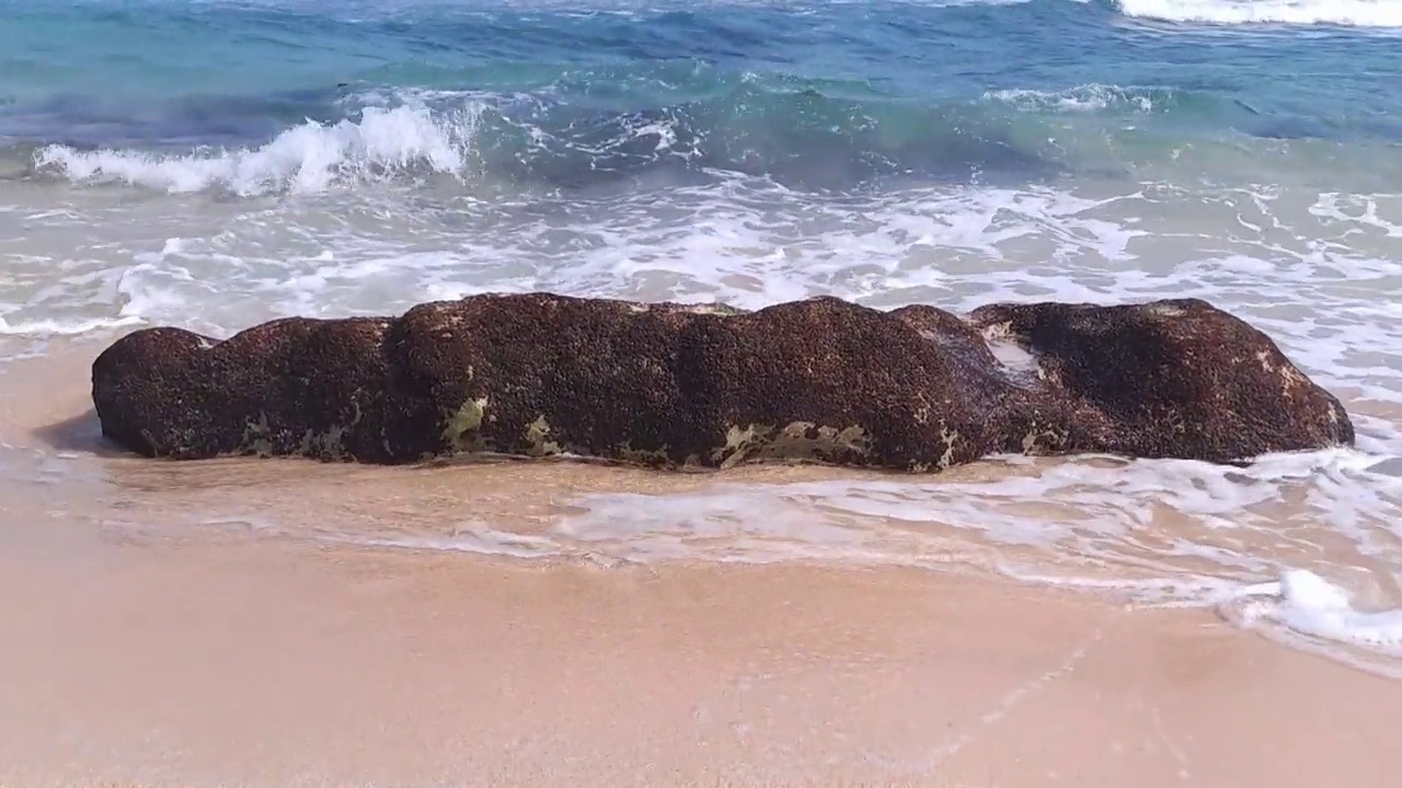 热带海滩视频素材