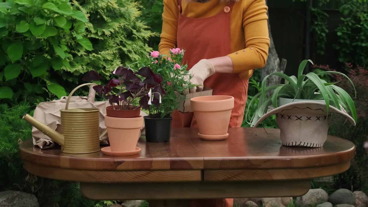 夏天园艺。女园丁在后院的新花盆里重新种植植物。视频素材