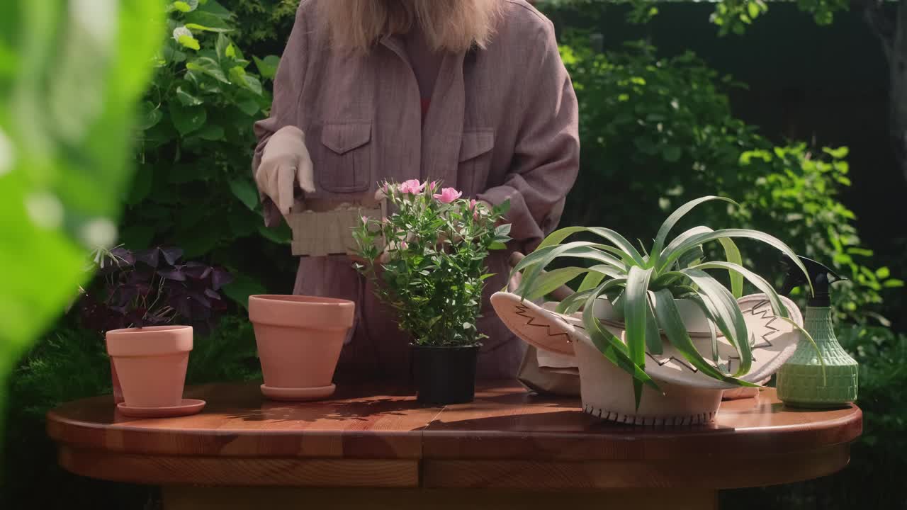 一名妇女在后院的花盆里重新种植植物。园艺的概念。视频素材