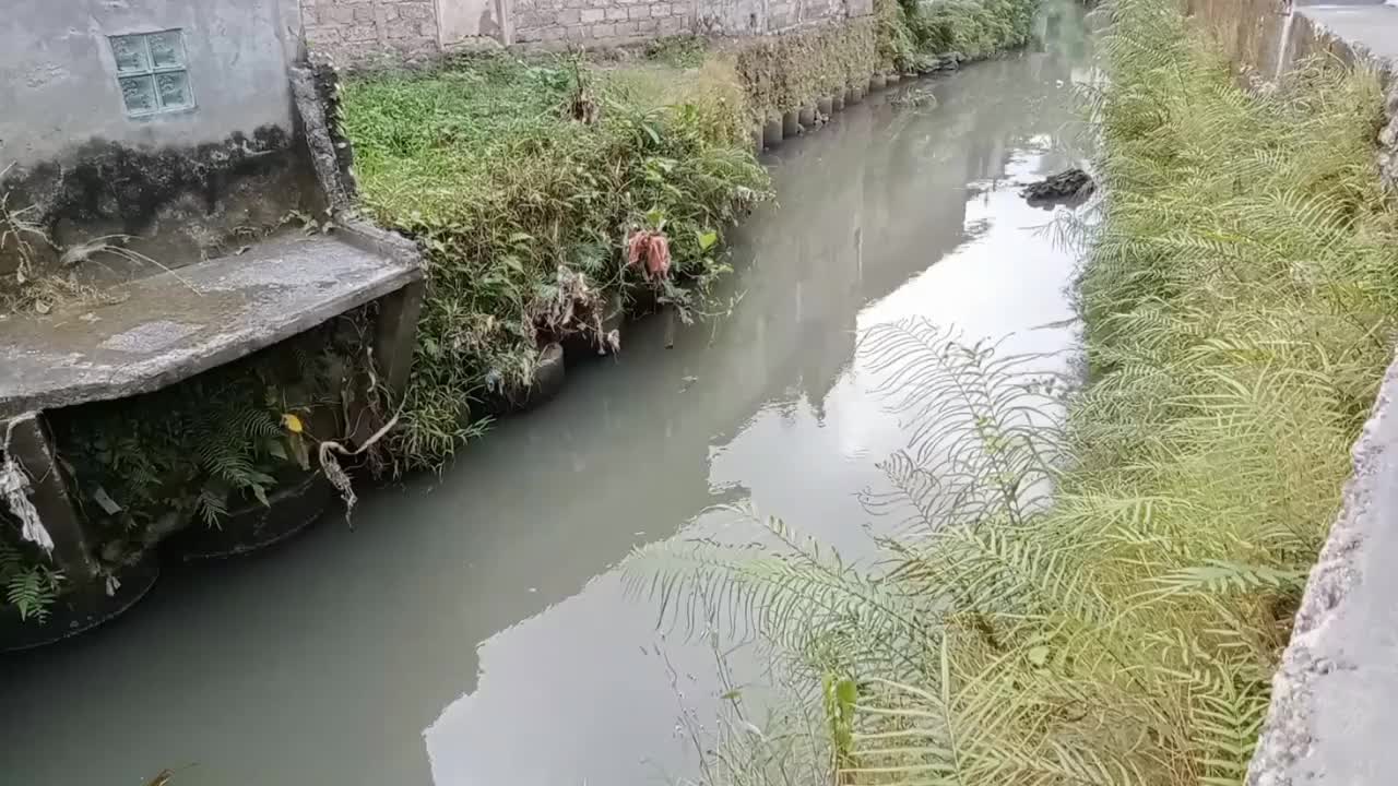 小河流在污染的城市地区视频下载