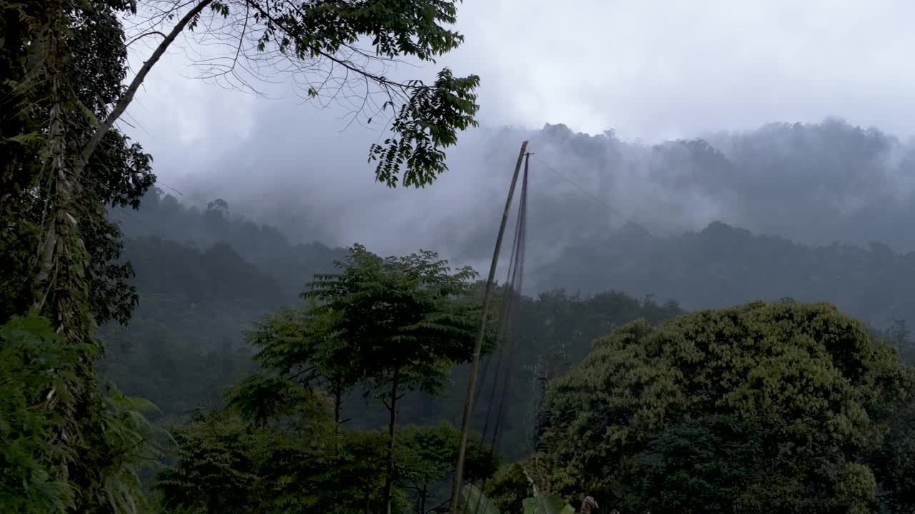 神秘的雾。迷人的雾山视频素材