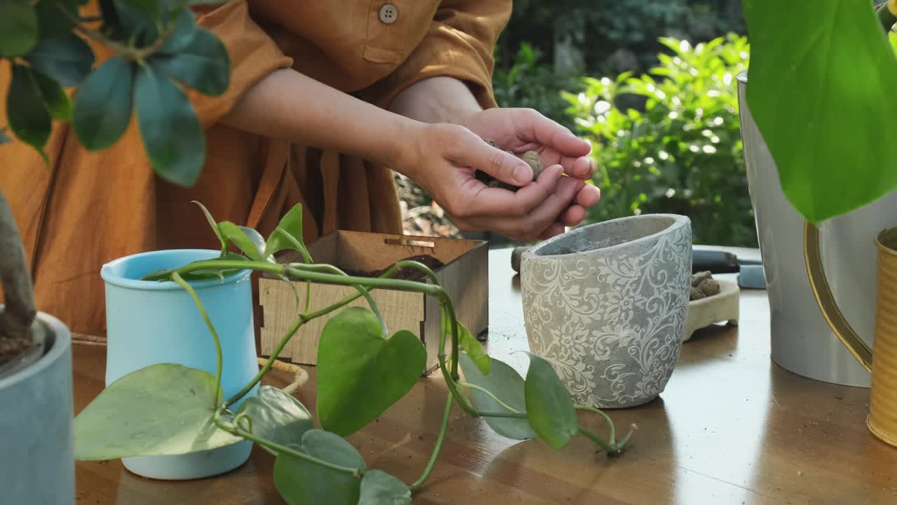 园艺。年轻女子在后院花园里重新盆栽室内植物。视频素材