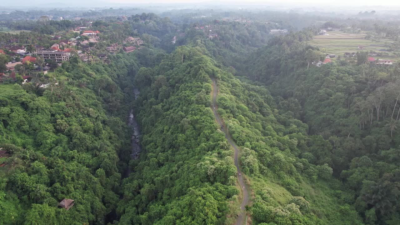 空中Campuhan Ridge步行乌布巴厘岛-郁郁葱葱，风景秀丽，以徒步旅行和横扫山顶的景色而闻名视频素材