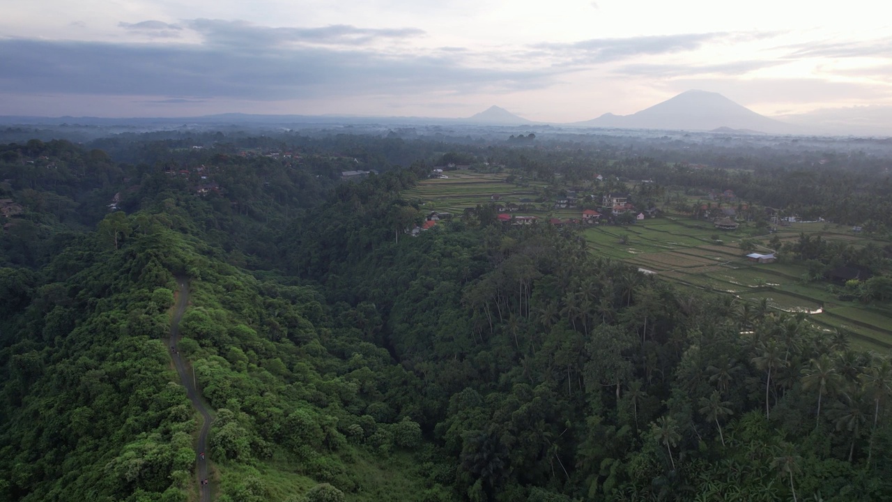 空中Campuhan Ridge步行乌布巴厘岛-郁郁葱葱，风景秀丽，以徒步旅行和横扫山顶的景色而闻名视频素材