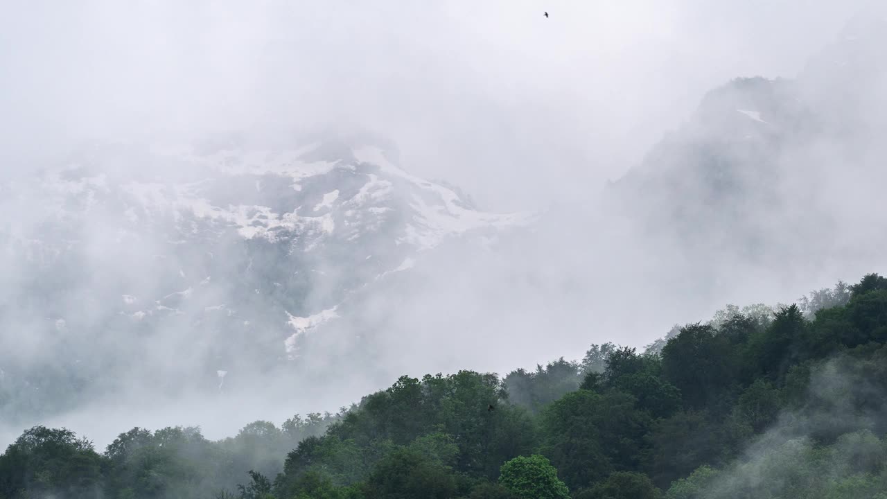 群山和雾中的树林。4k延时视频视频素材