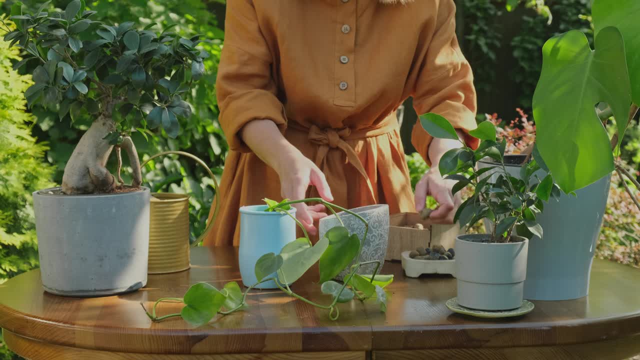 园艺。妇女在后花园的新花盆里重新种植室内植物。视频素材