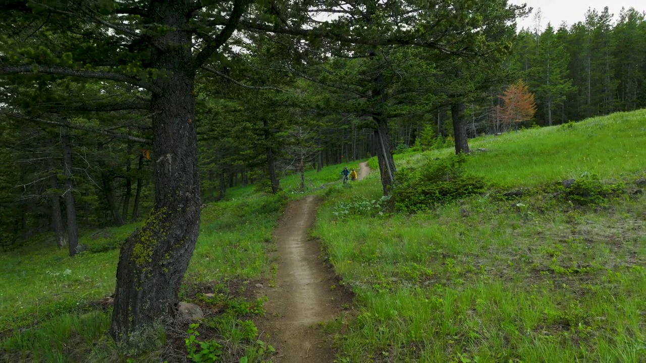 空中视角的山地自行车骑在郁郁葱葱的山脊视频下载