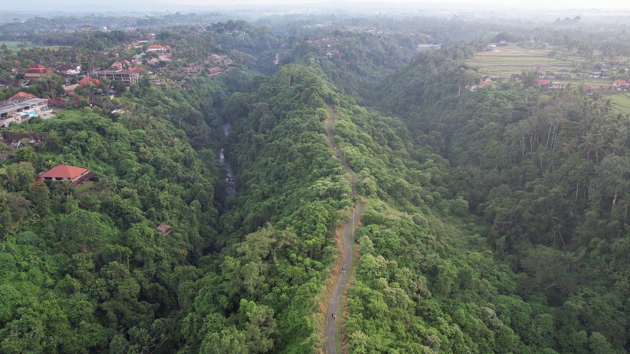 空中Campuhan Ridge步行乌布巴厘岛-郁郁葱葱，风景秀丽，以徒步旅行和横扫山顶的景色而闻名视频素材