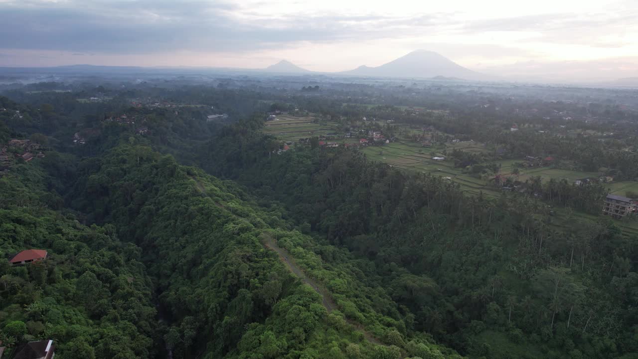 空中Campuhan Ridge步行乌布巴厘岛-郁郁葱葱，风景秀丽，以徒步旅行和横扫山顶的景色而闻名视频素材