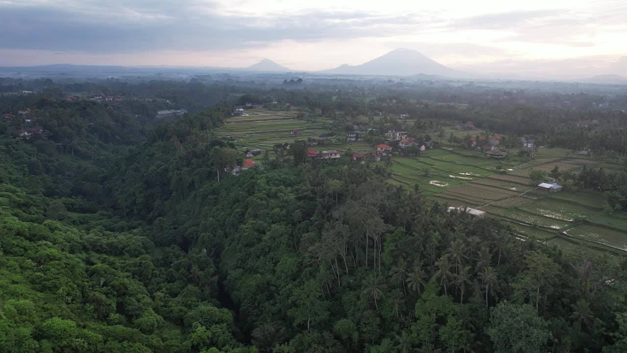 空中Campuhan Ridge步行乌布巴厘岛-郁郁葱葱，风景秀丽，以徒步旅行和横扫山顶的景色而闻名视频素材