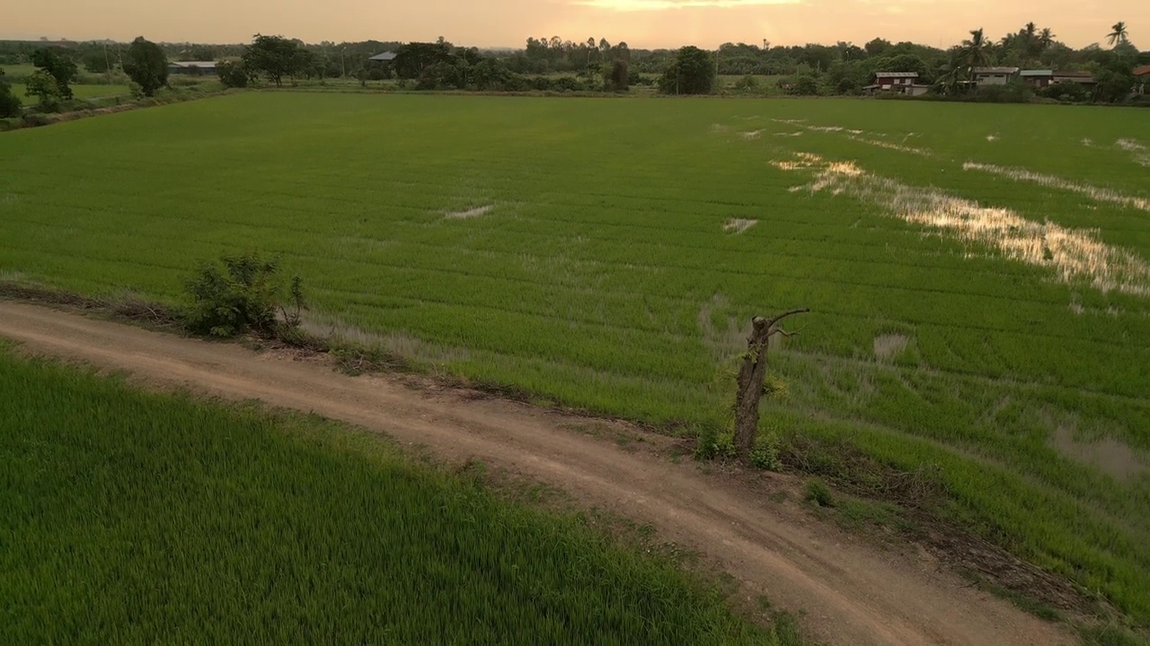 美丽的大自然，田野农场的晨光视频素材