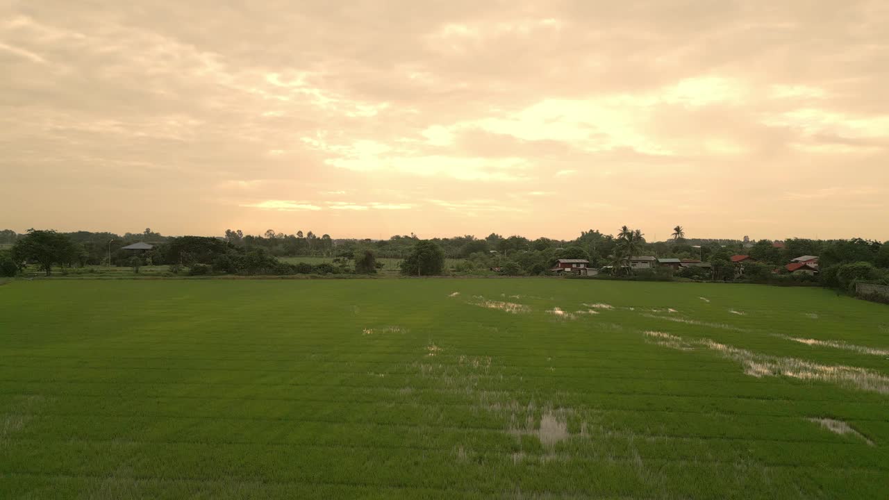 美丽的大自然，田野农场的晨光视频素材