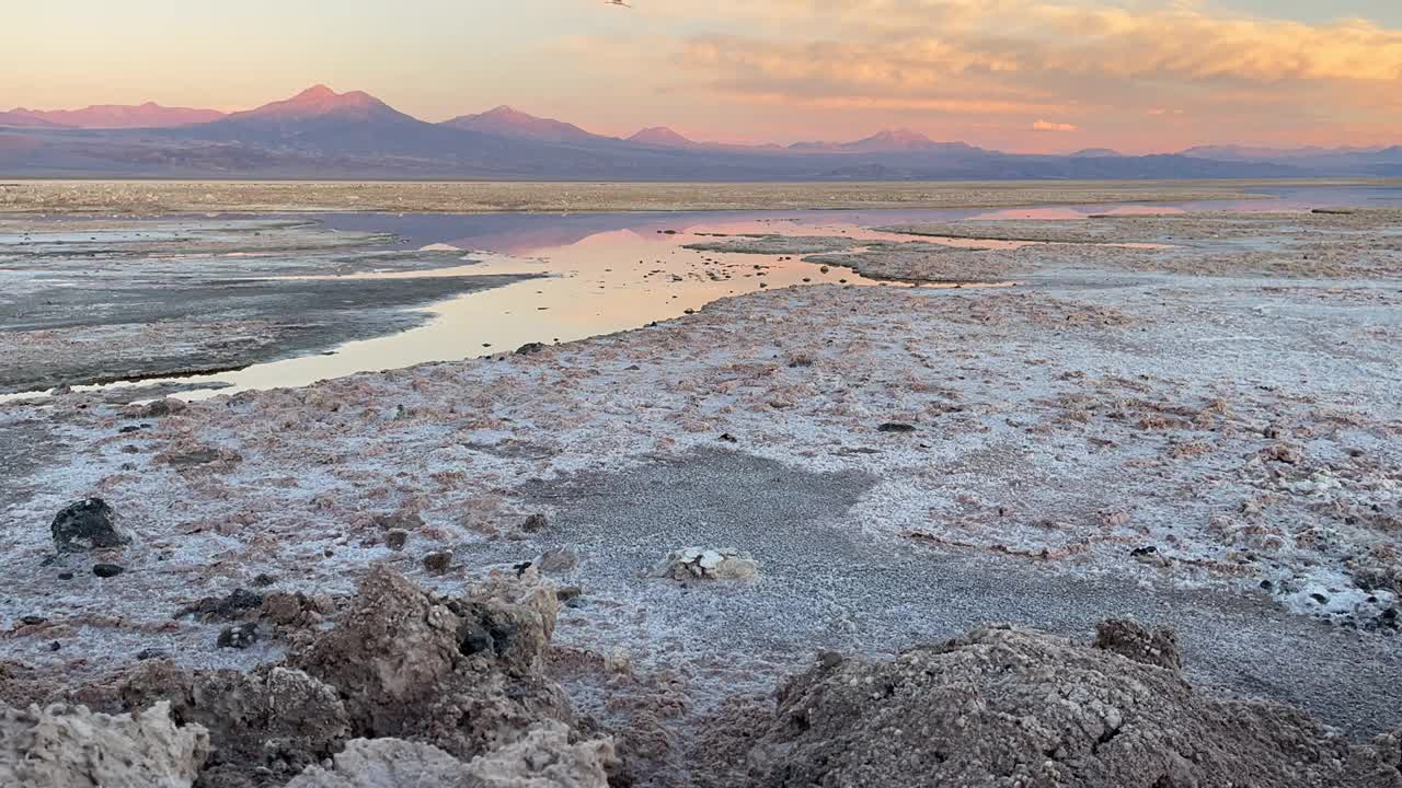 阿塔卡马沙漠中的恰萨尔湖景观视频下载