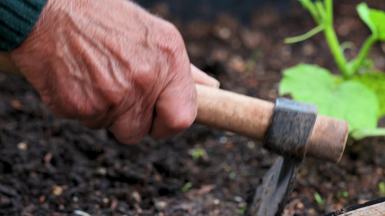 老人手持锄头在菜园子里干活的特写。高质量的4k视频。视频素材