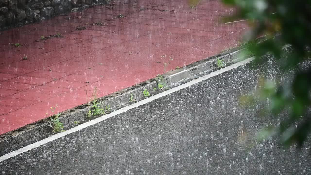 雨淋在沥青上视频素材