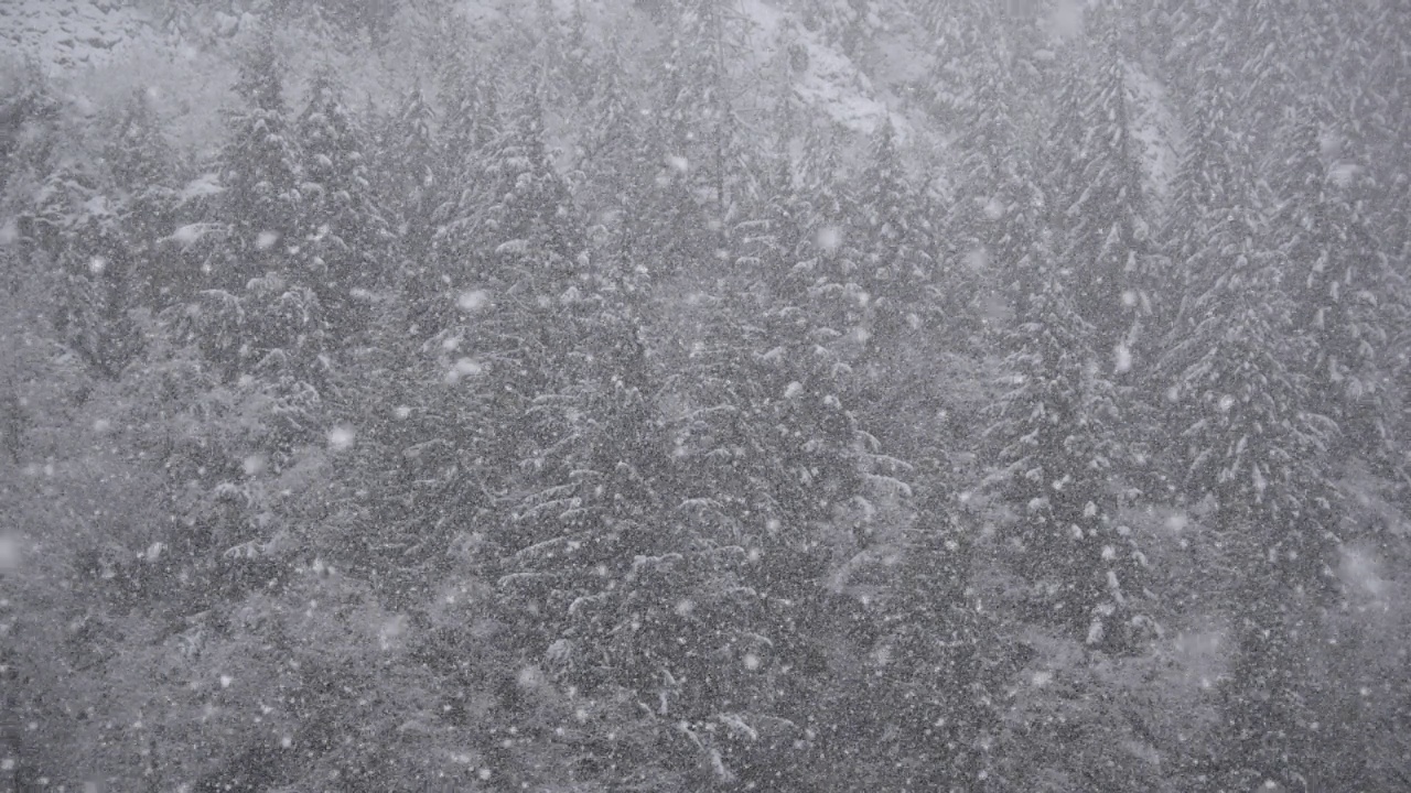 雪落在山上/加州，美国视频素材