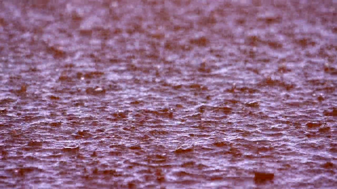 雨落在雷特巴湖/塞内加尔，非洲视频素材