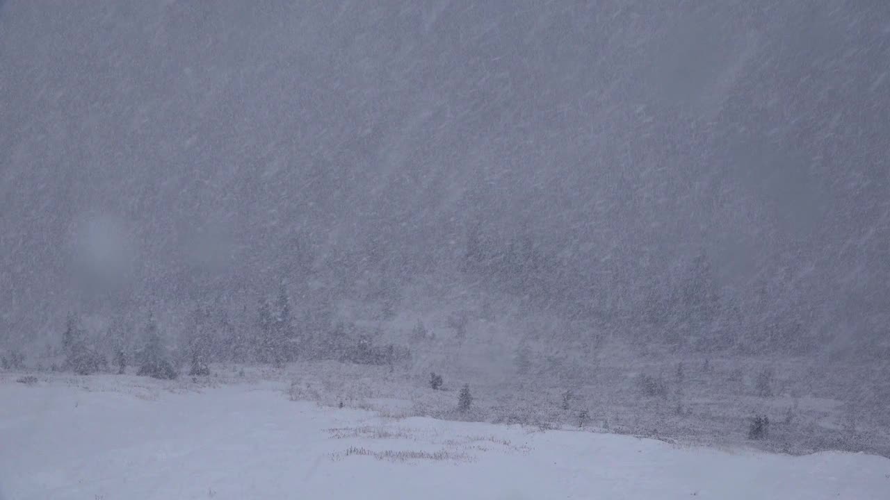 暴风雪的山脉和行走的人/俄勒冈州，美国视频素材