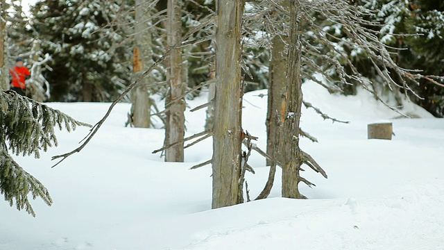 在冬天的森林里，人们在雪地上奔跑视频素材